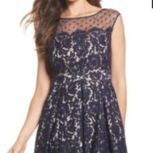 Navy/Champagne Eliza J Cocktail Dress